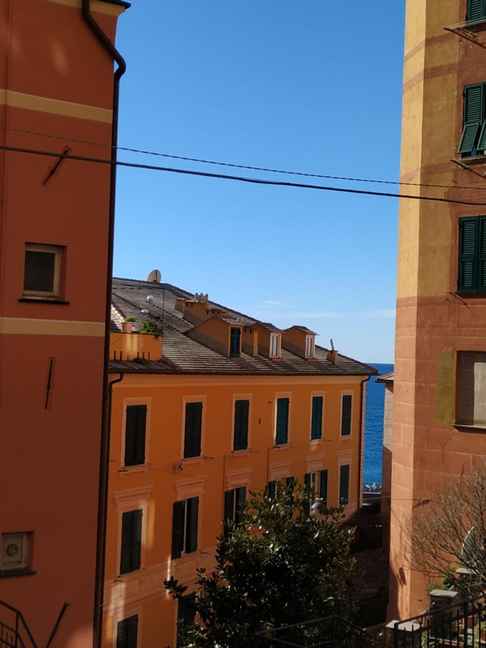 Augusta Albergo B&B Camogli Bagian luar foto